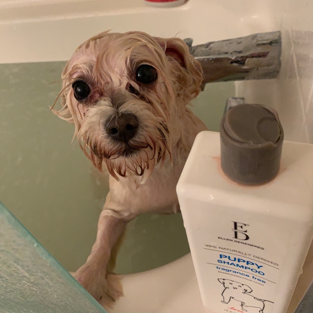 Meet your Posher, Jenni